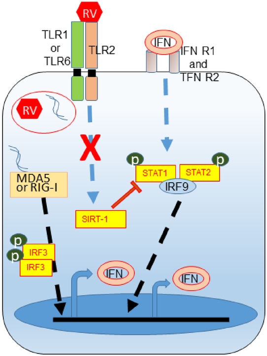 Figure 10.