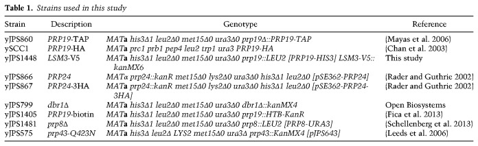 graphic file with name 1555tb01.jpg