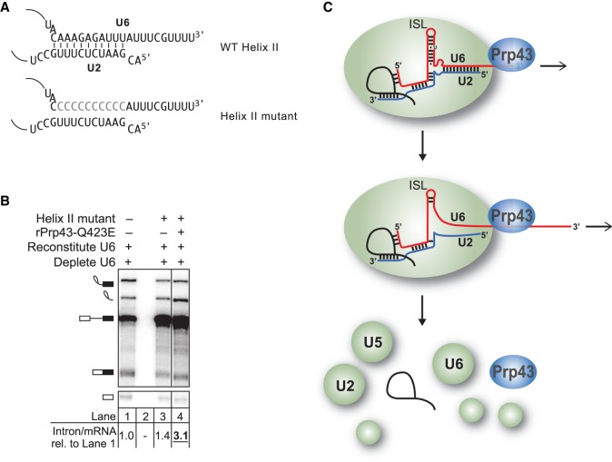 Figure 7.