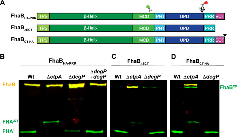 FIG 3