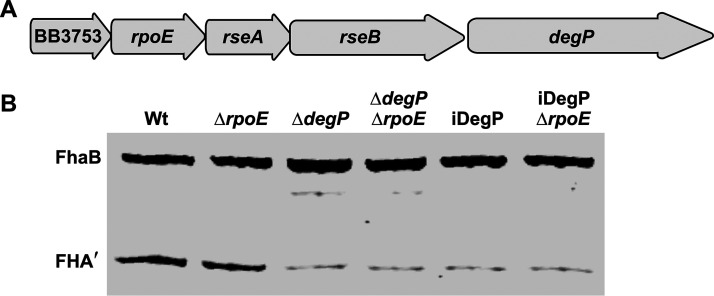 FIG 7