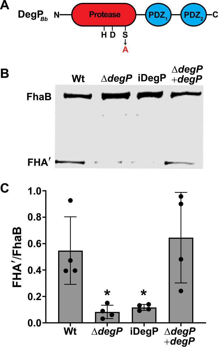 FIG 2