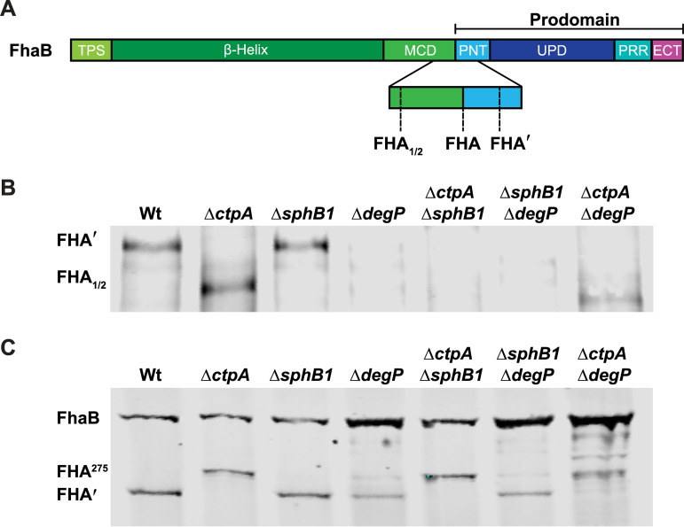 FIG 4