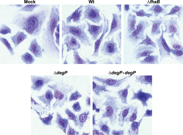 FIG 6