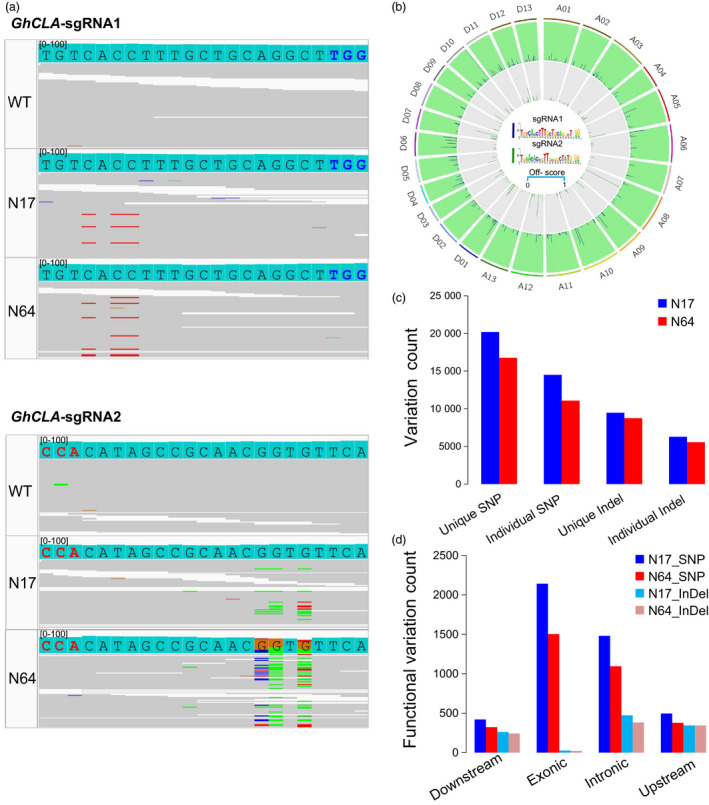 Figure 4