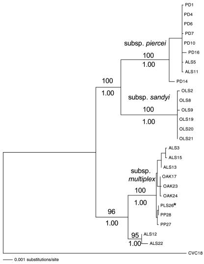 FIG. 1.