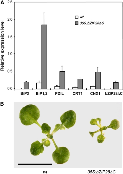 Figure 6.