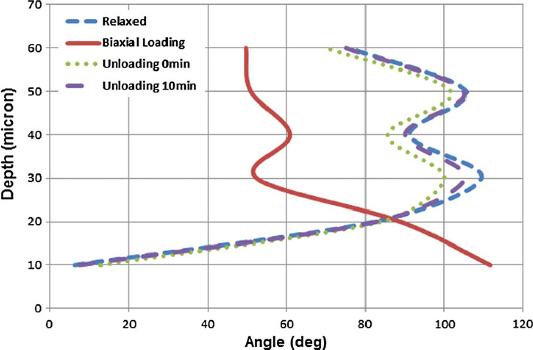 FIGURE 12