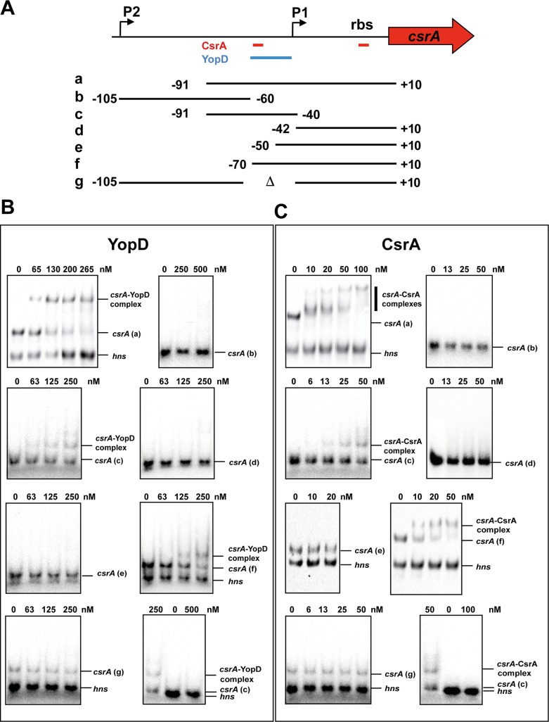 Fig 5