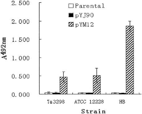 FIG. 1.