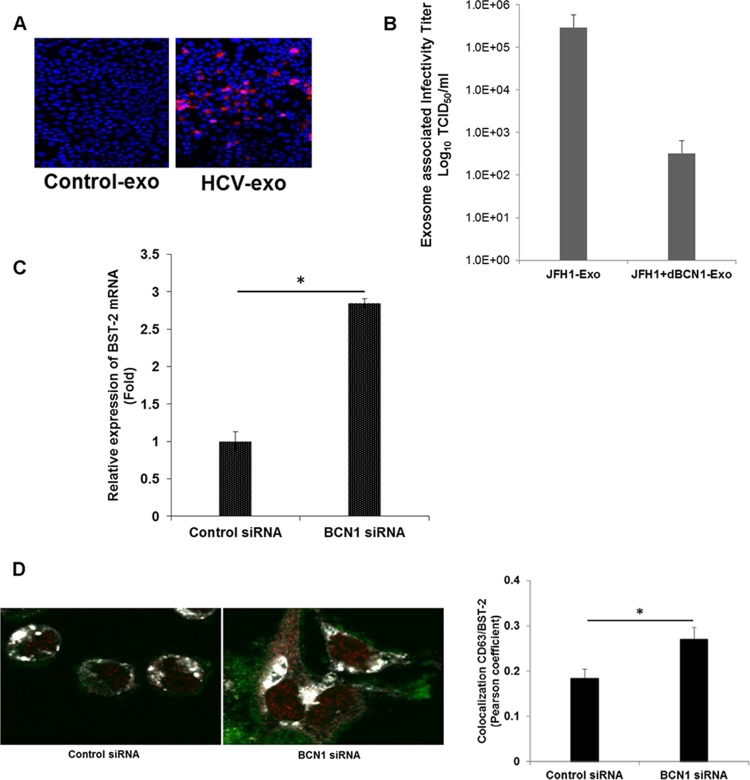 FIG 6