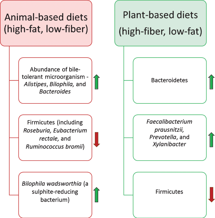 Fig.3