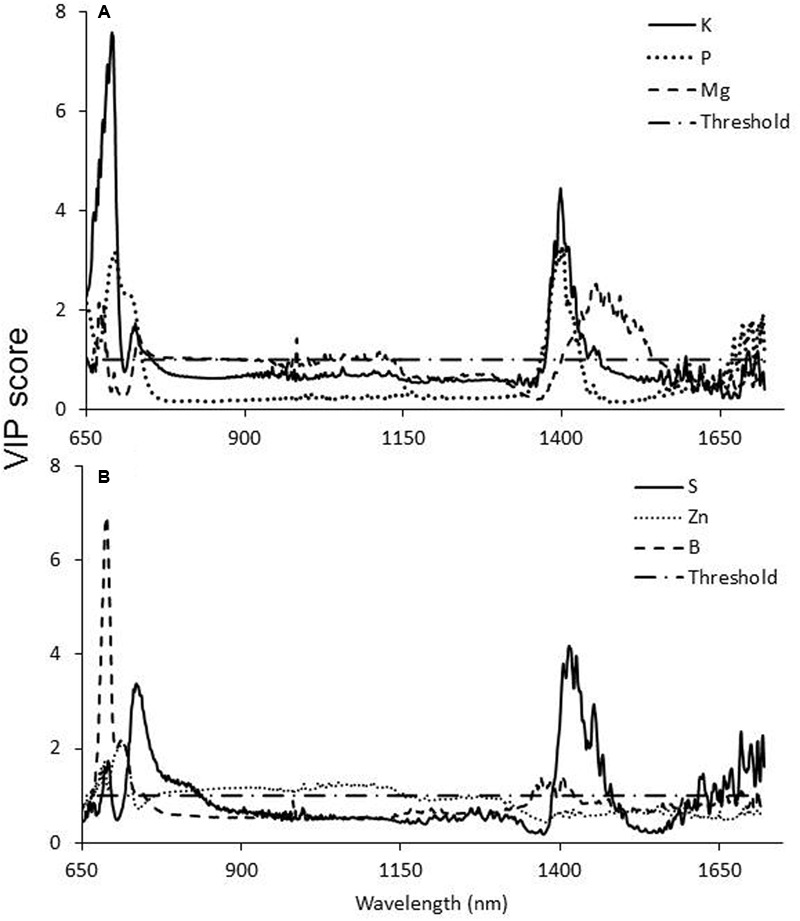 FIGURE 6