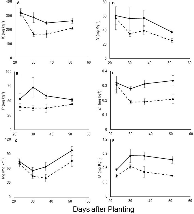 FIGURE 4