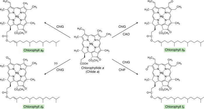 Figure 10.