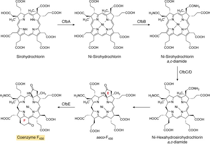 Figure 4.