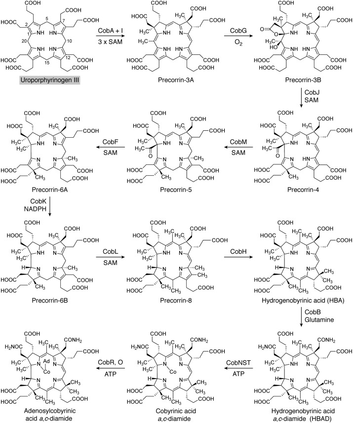 Figure 5.