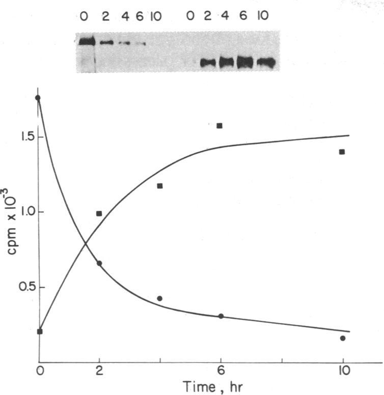 graphic file with name pnas00635-0332-a.jpg