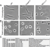 Fig 7