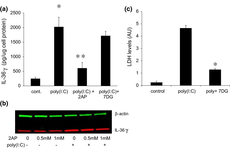 Fig. 4