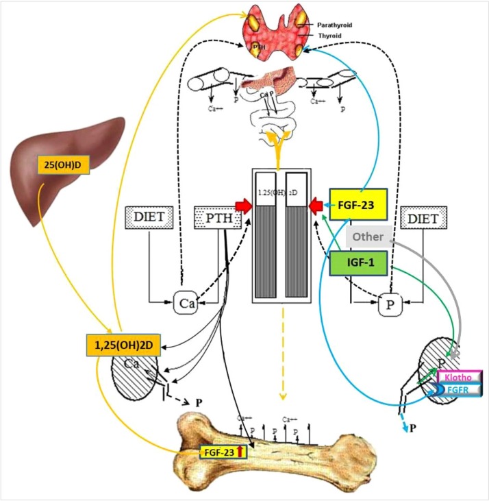 Fig. 1