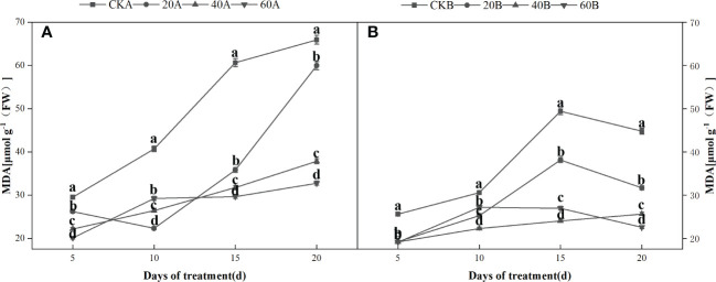 Figure 6