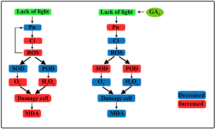 Figure 10