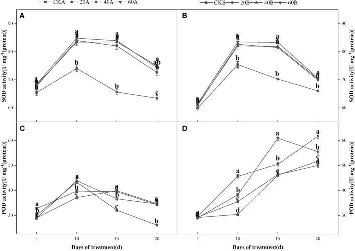 Figure 7