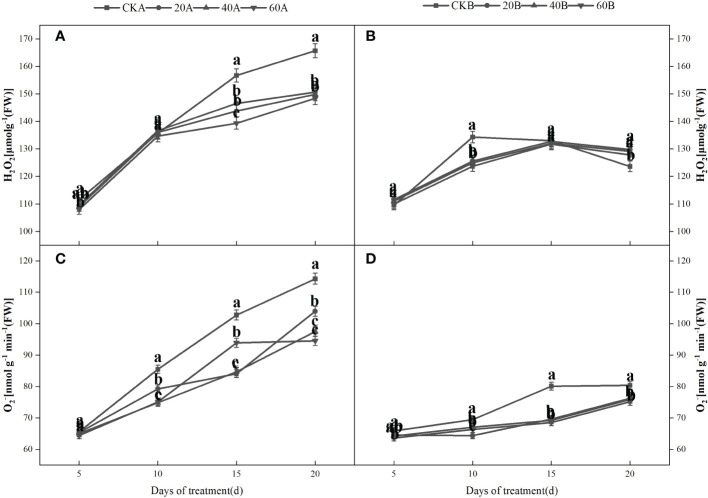 Figure 5