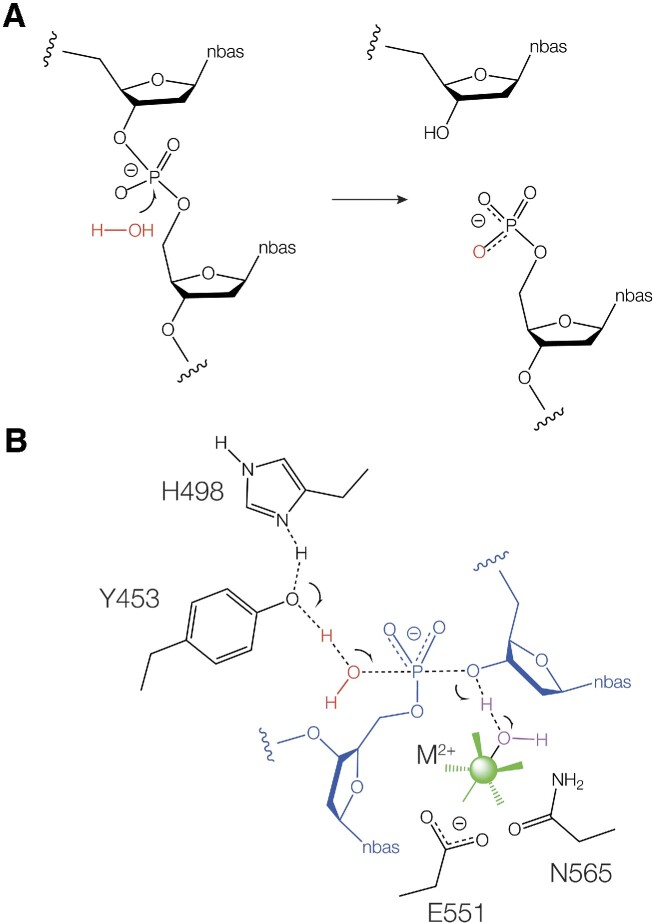 Figure 7.