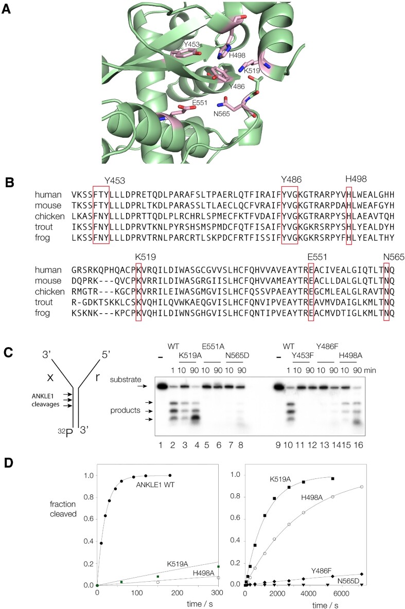 Figure 4.