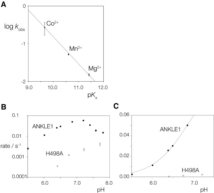 Figure 5.