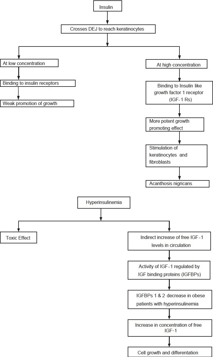 Flow Chart 1