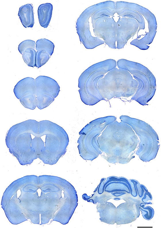 Figure 4: