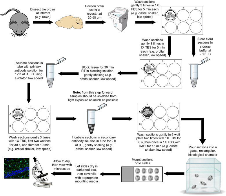 Figure 1: