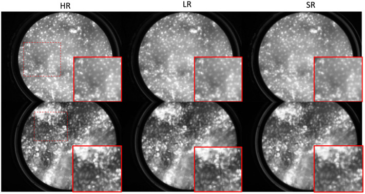 Fig. 7