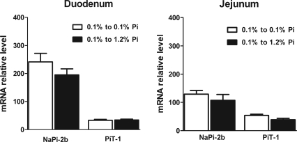 Fig. 10.