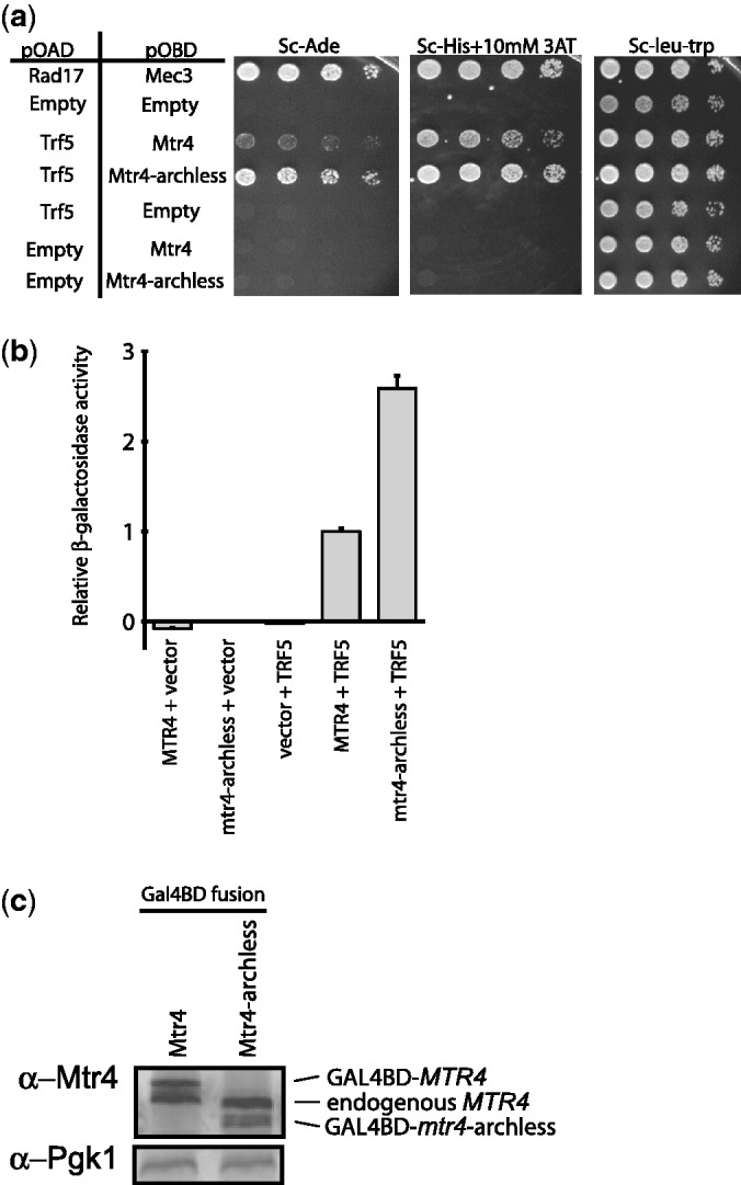 Figure 7.