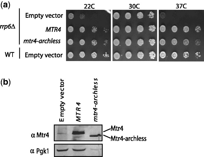 Figure 4.