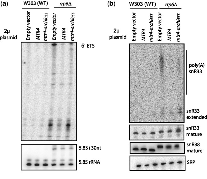 Figure 5.