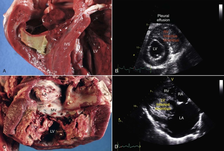 Figure 36-17