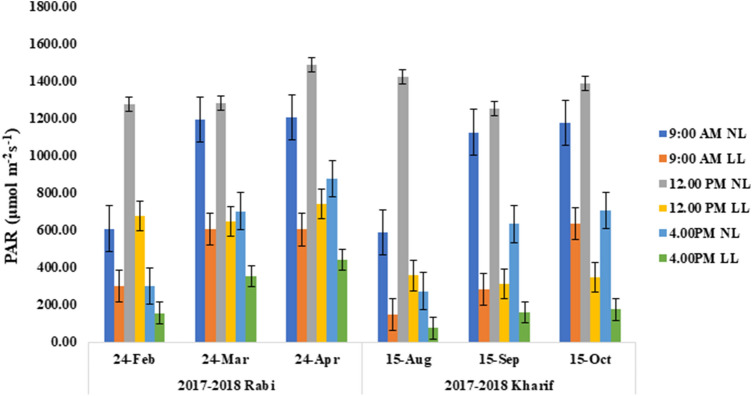 Fig. 1