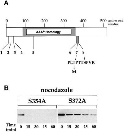 graphic file with name cde469f4.jpg