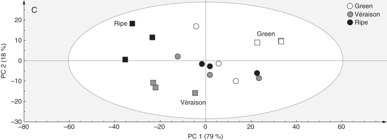 Fig. 3.