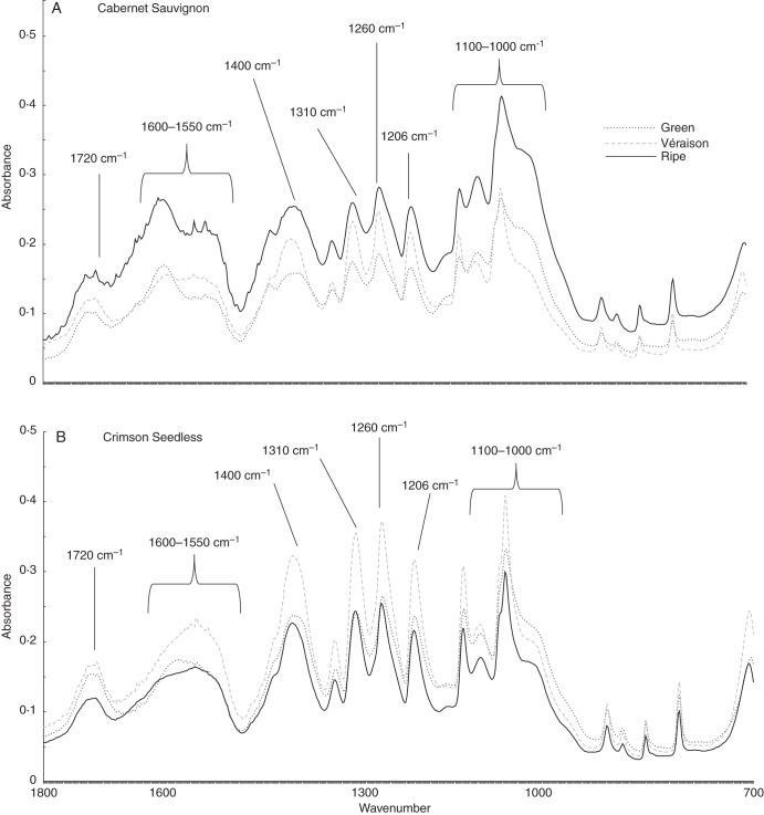 Fig. 3.