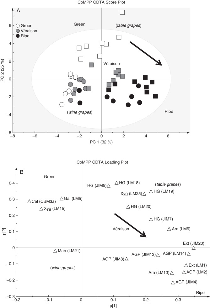 Fig. 4.