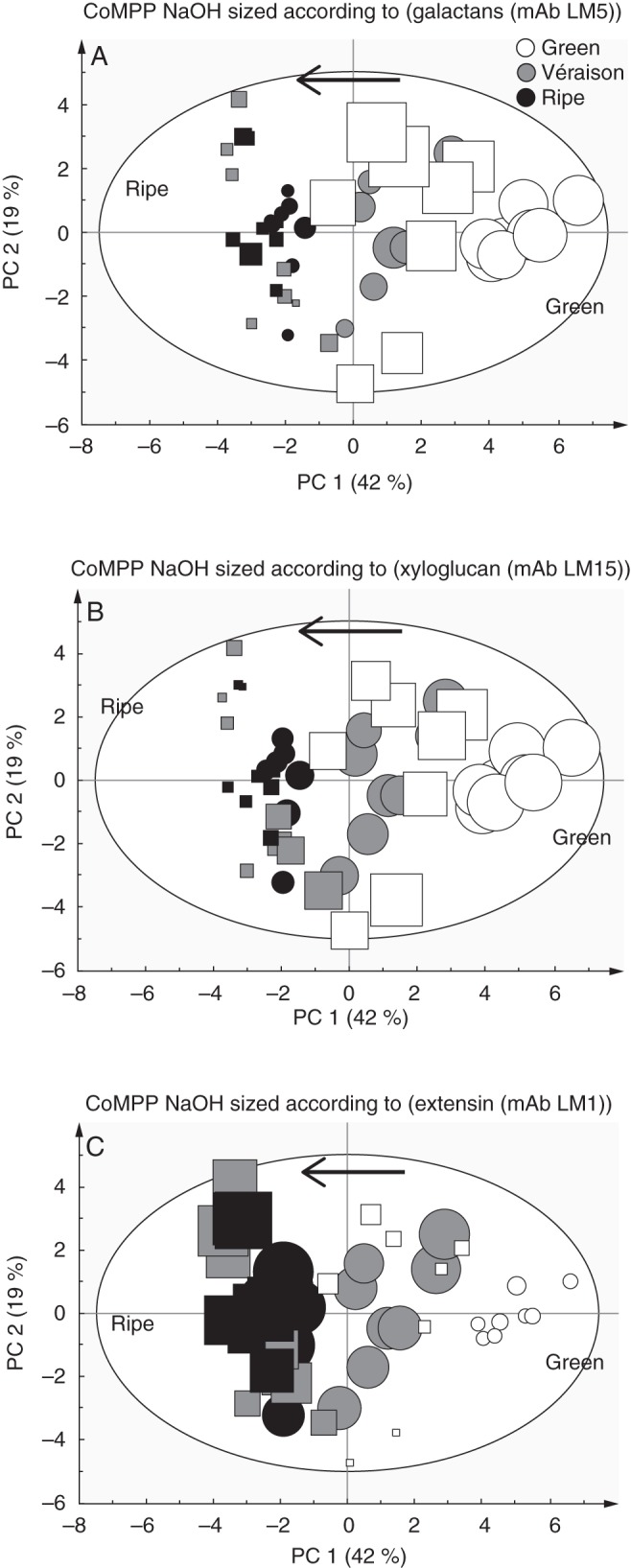 Fig. 7.