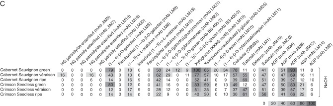 Fig. 6.