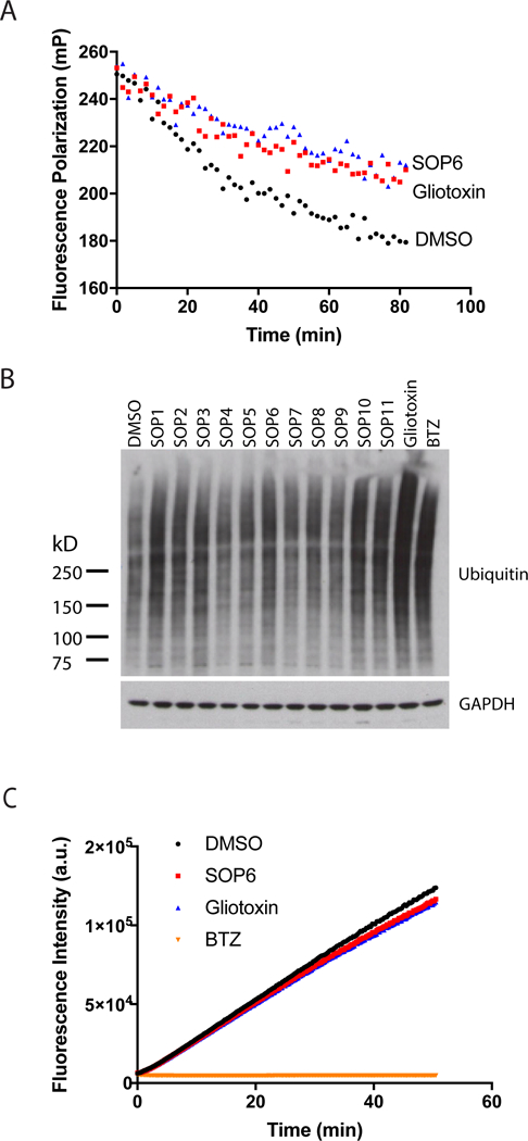 Fig 2.