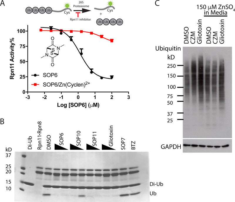 Fig 3.